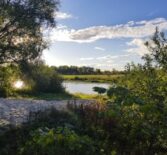 Астрологический прогноз для Украины (июнь-июль) 2020