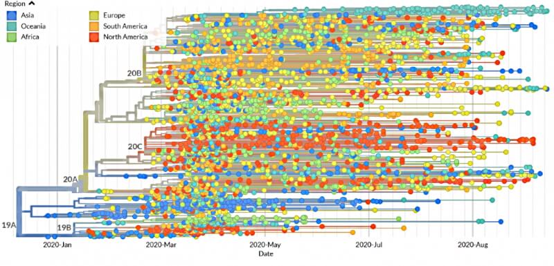 распространения штаммов вируса Covid19
