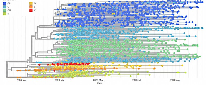 Гистограмма распространения основных штаммов вируса Covid19