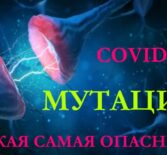Мутация коронавируса