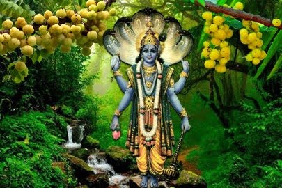 amalaki ekadashi Амалаки экадаши
