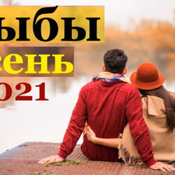 Рыбы гороскоп на сентябрь, октябрь, ноябрь и декабрь 2021