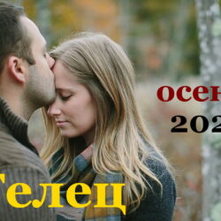 Телец гороскоп на сентябрь, октябрь, ноябрь и декабрь 2021