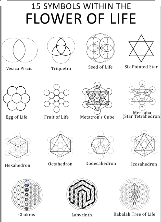 15 символов жизни