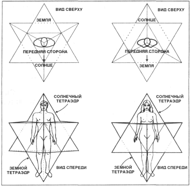 Изображение тетразора
