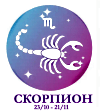 skorpion solnechnyj znak Скорпион солнечный знак